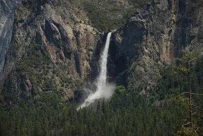 DSC_0003 (Large).JPG